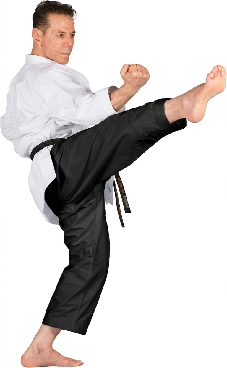 Hino Tori Karate instructor