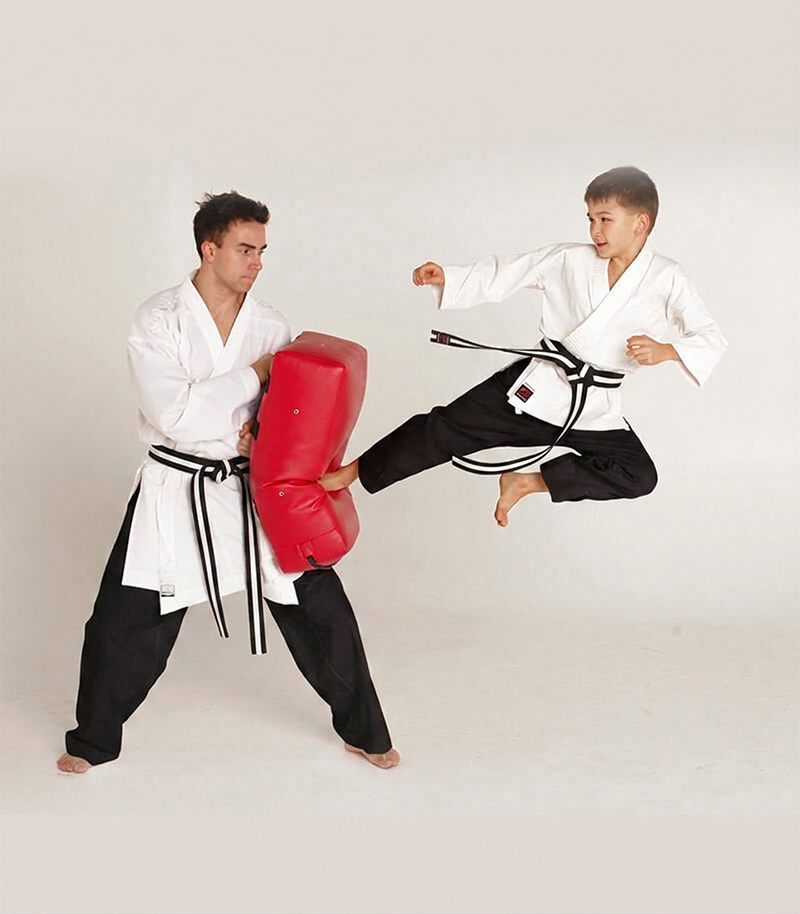 Hino Tori Karate dojo training session